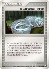 なにかの化石