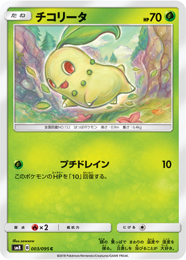 チコリータ