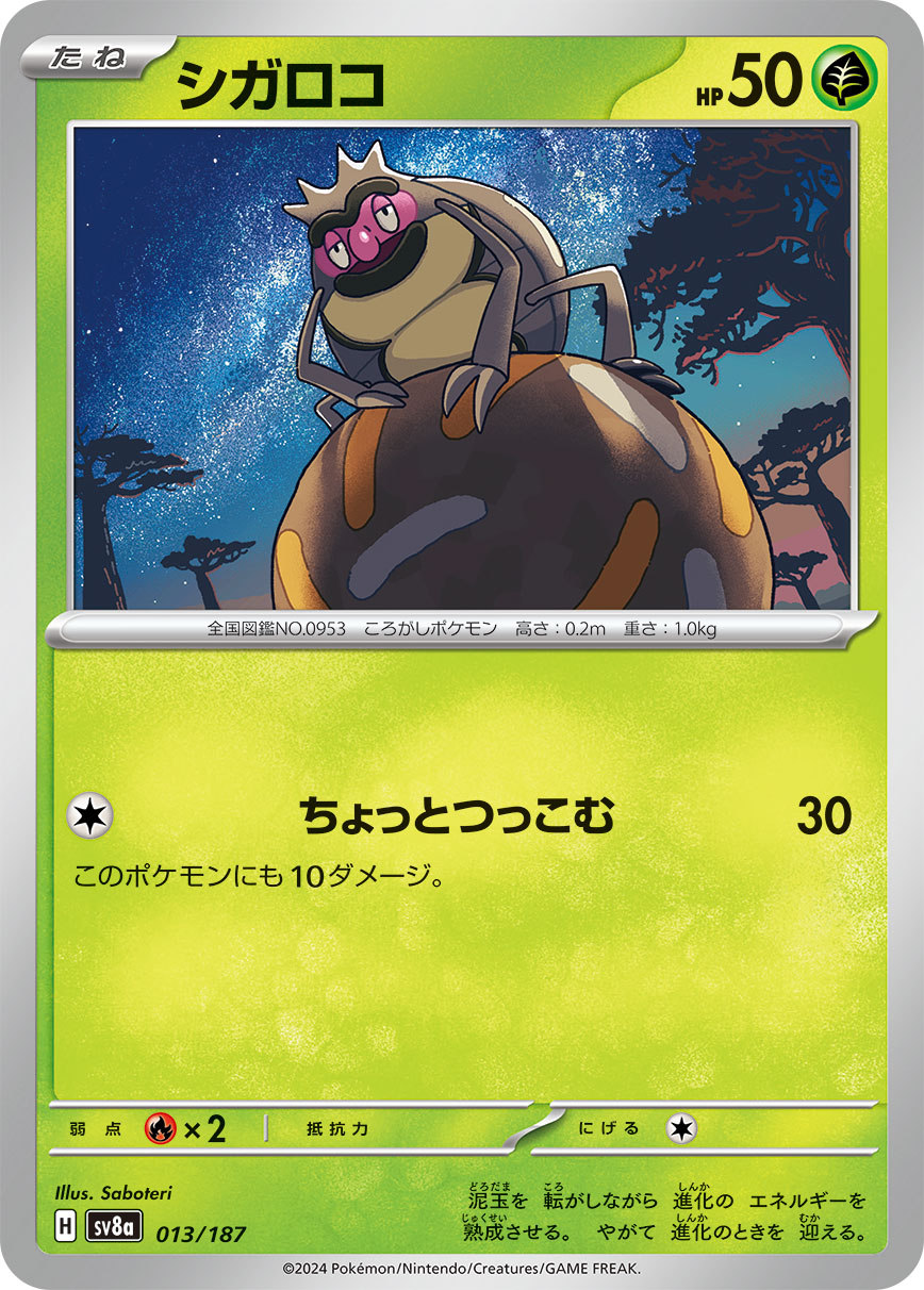 シガロコ
