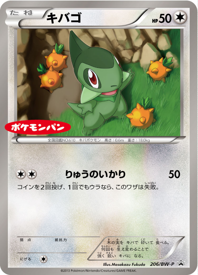 キバゴ