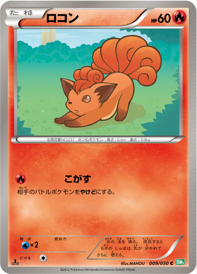 ロコン