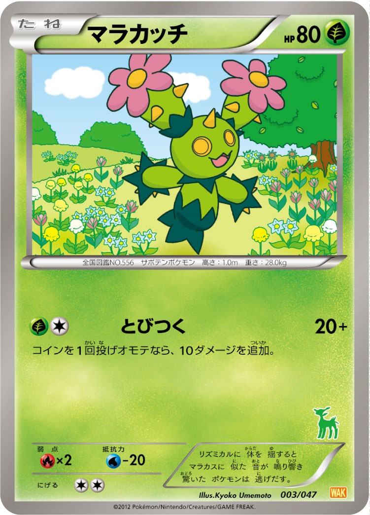 マラカッチ