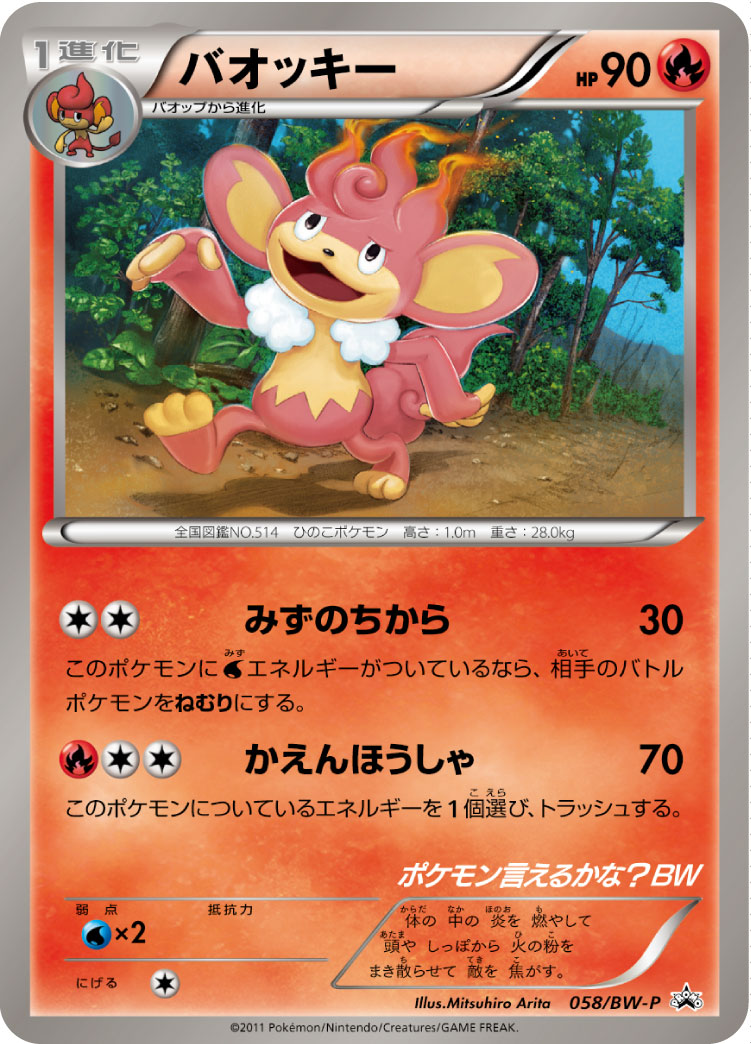 バオッキー