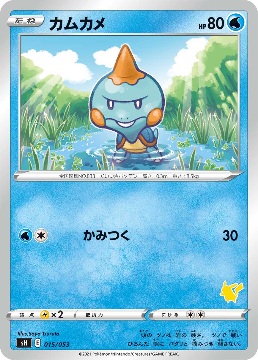 カムカメ
