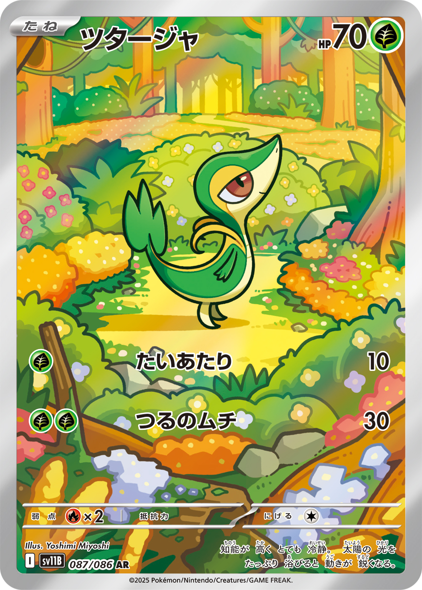 ツタージャ