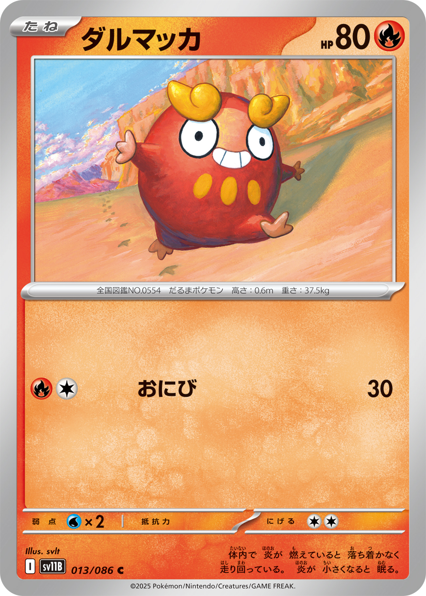 ダルマッカ