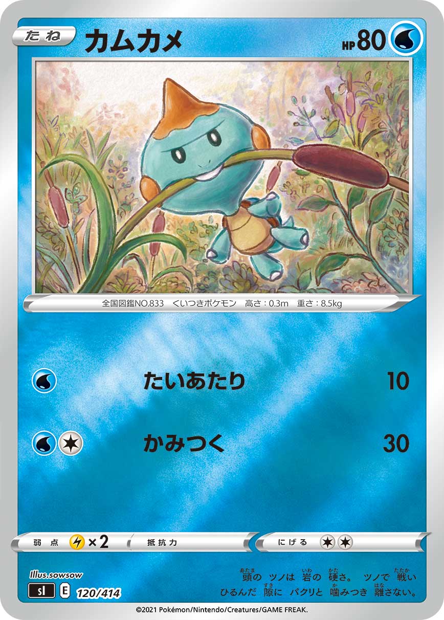 カムカメ