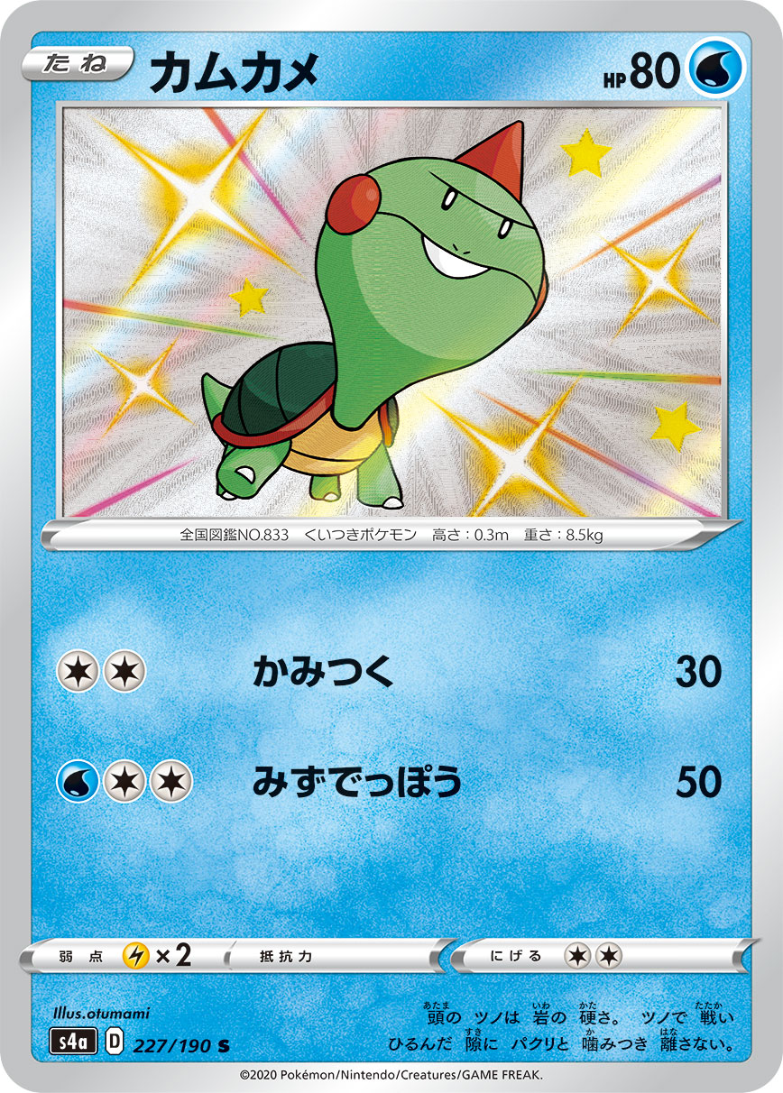 カムカメ